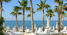 Relaxing beach with palm trees in Marbella, Malaga